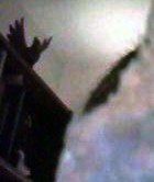 post-3743-0-35115000-1296711080_thumb.jp