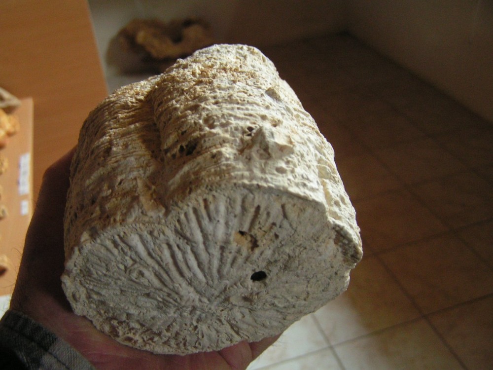 post-1447-1205330252_thumb.jpg