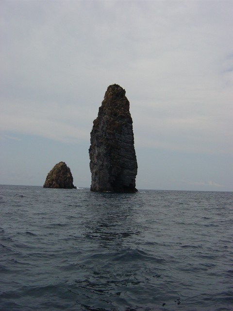 DSC01266__480_x_640_.jpg
