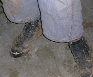post-2600-1206449947_thumb.jpg