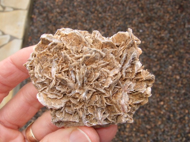 post-897-1205783661_thumb.jpg