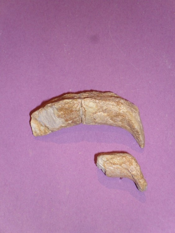 post-1746-1270065394_thumb.jpg