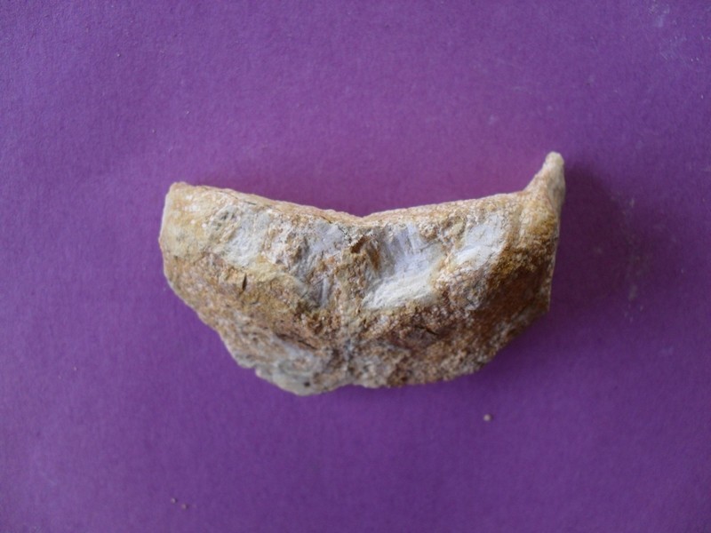 post-1746-1270065414_thumb.jpg