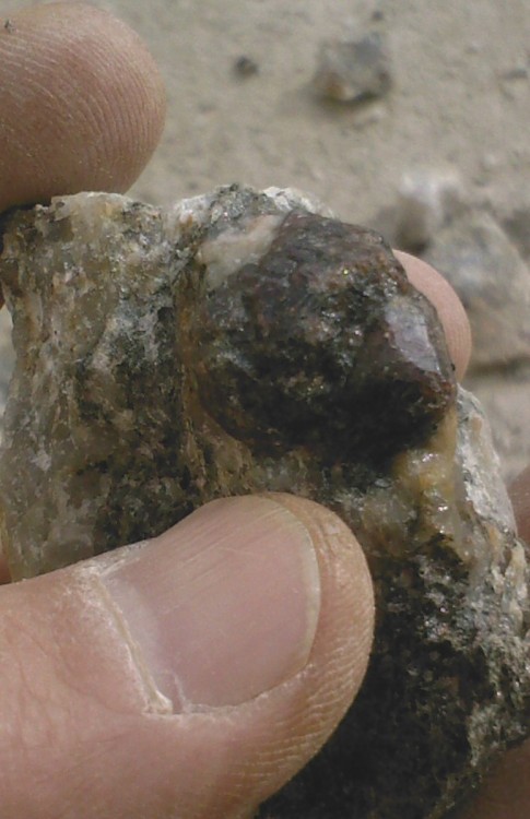 post-5704-1267907687_thumb.jpg