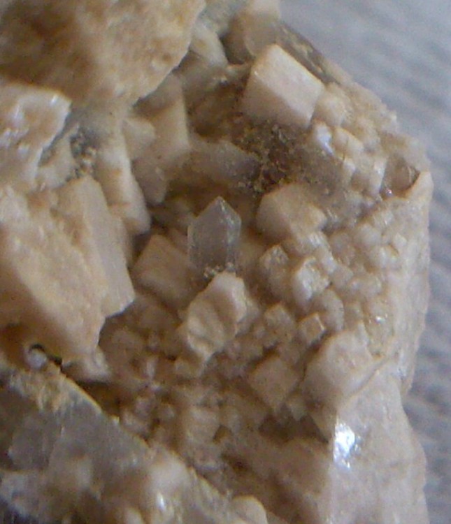 post-5704-1269689764_thumb.jpg