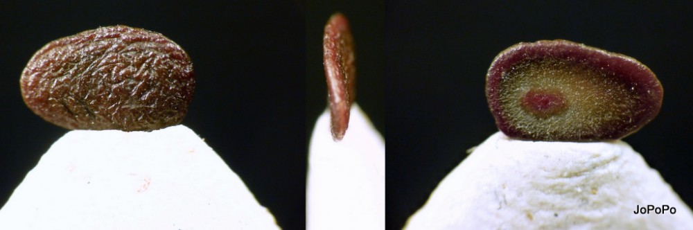post-5954-0-33059900-1299539003_thumb.jp
