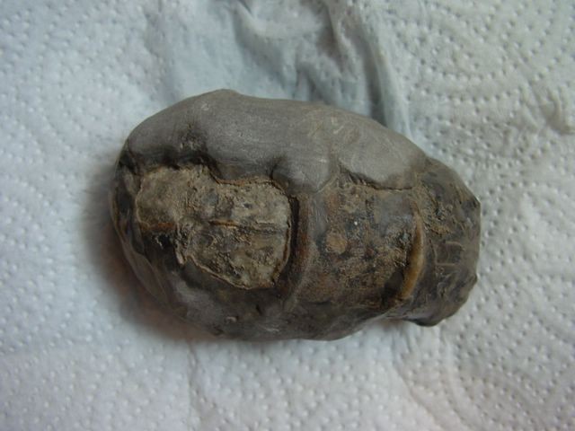 post-1692-1177837334_thumb.jpg