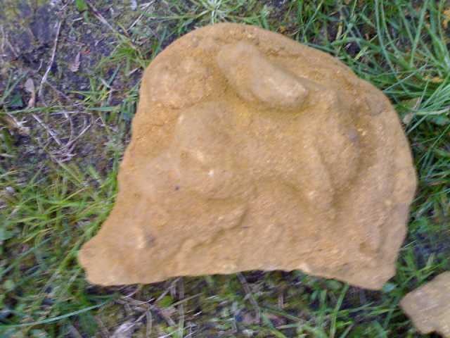 post-1756-1175507984_thumb.jpg