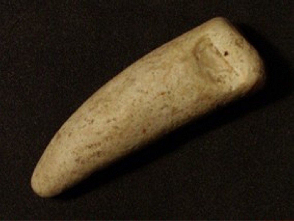 post-1777-1175883119_thumb.jpg
