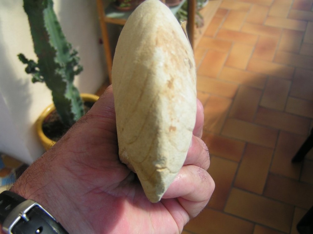 post-1447-1209220605_thumb.jpg