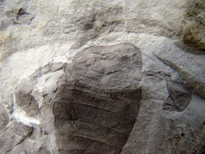 post-1498-1207918379_thumb.jpg