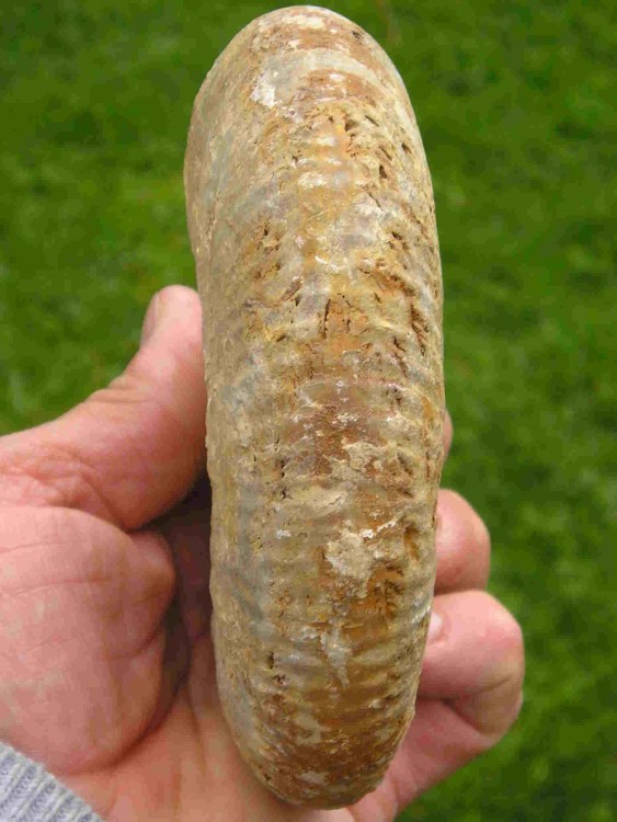 post-1953-1207656523_thumb.jpg