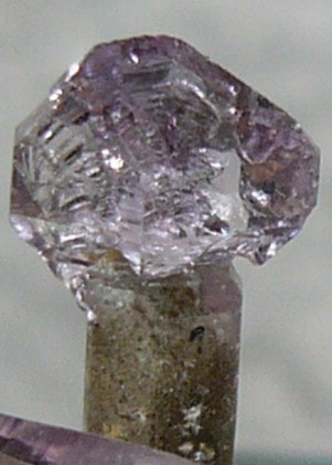 post-2963-1208629820_thumb.jpg