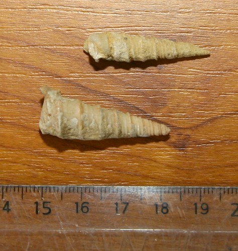 post-3318-1207561609_thumb.jpg