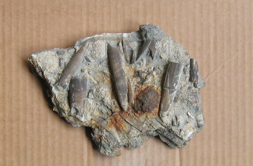 post-3650-1207815937_thumb.jpg