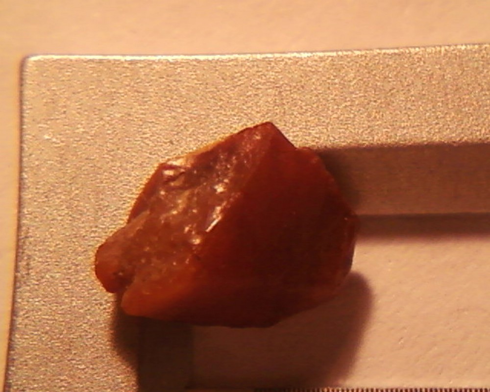 post-5704-1239258025_thumb.jpg