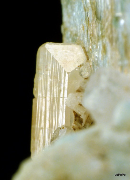 post-5954-0-26509000-1303076971_thumb.jp