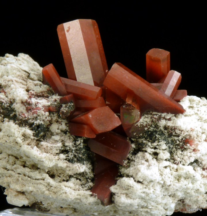 post-5954-0-53590700-1303075430_thumb.jp