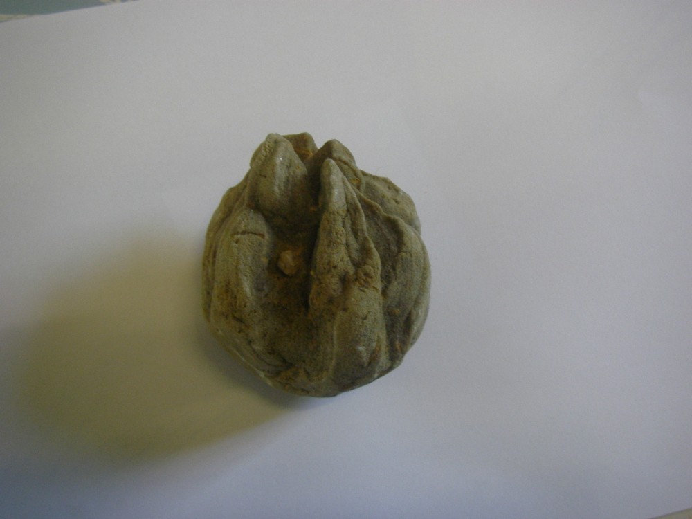 post-1484-1179066363_thumb.jpg