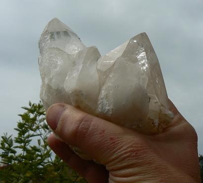 post-3742-1210090269_thumb.jpg
