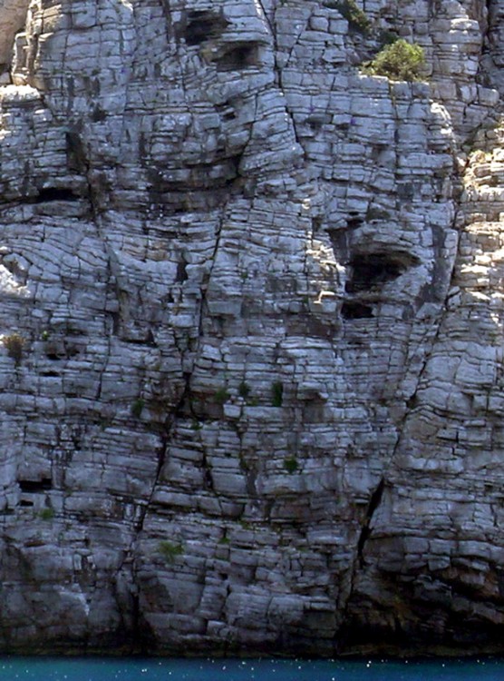 post-3743-1242656818_thumb.jpg