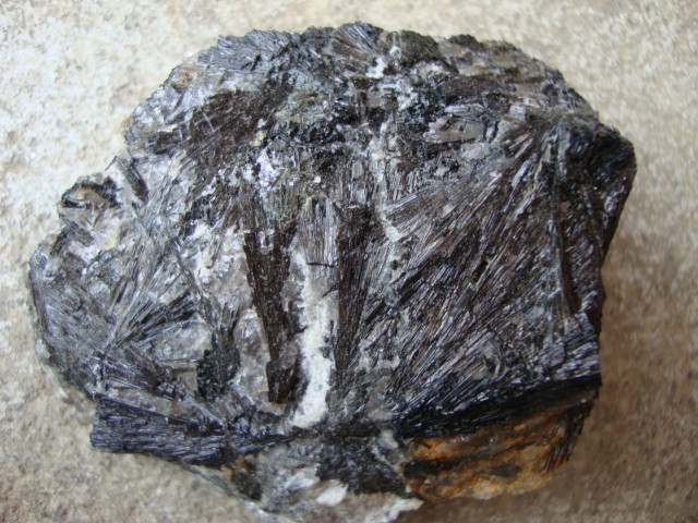 post-2063-1272728253_thumb.jpg