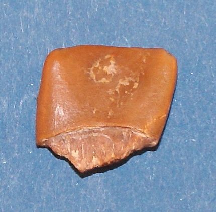 post-1246-1214645406_thumb.jpg