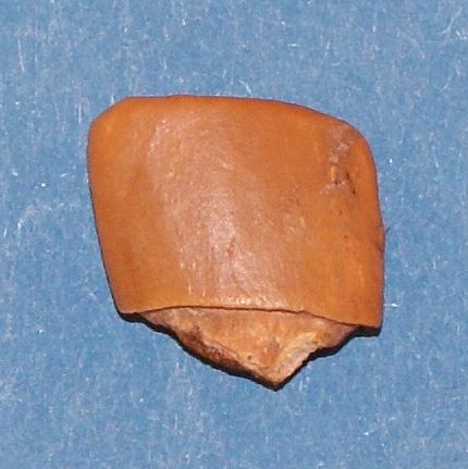 post-1246-1214645428_thumb.jpg