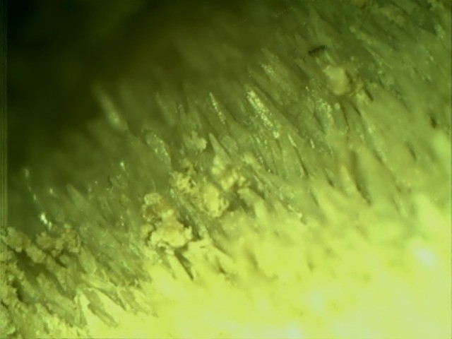 post-2296-1213031759_thumb.jpg