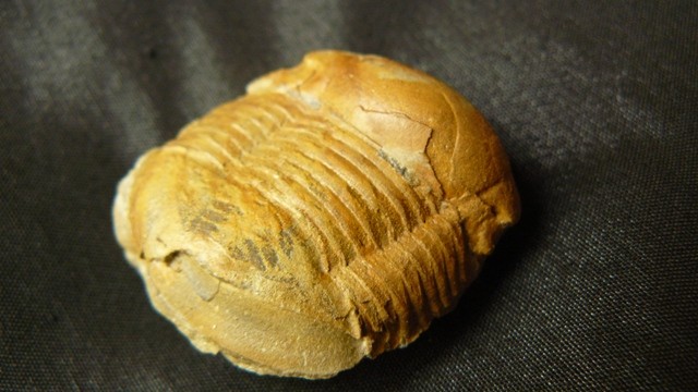 post-129-1246195554_thumb.jpg