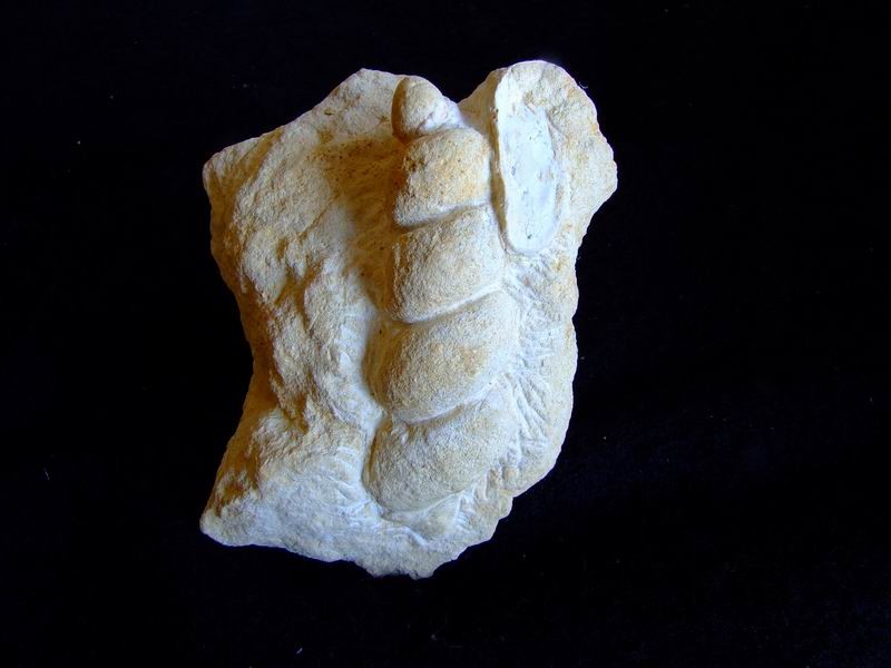 post-1744-1243867621_thumb.jpg