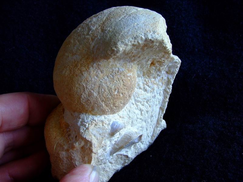 post-1744-1244055838_thumb.jpg