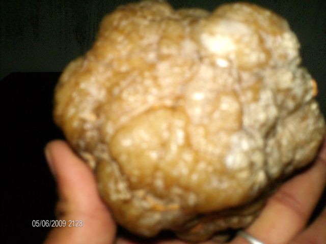 post-3066-1244328584_thumb.jpg