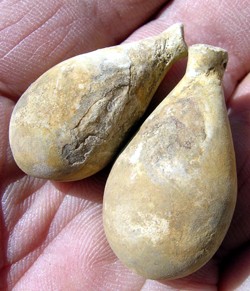 post-3743-1245570924_thumb.jpg