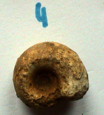 post-4495-1244281536_thumb.jpg