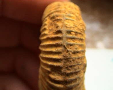 post-4495-1244370348_thumb.jpg
