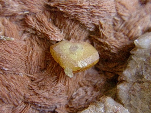 post-6172-1244395062_thumb.jpg
