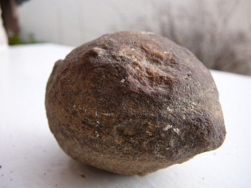 citron fossile France (1b).JPG
