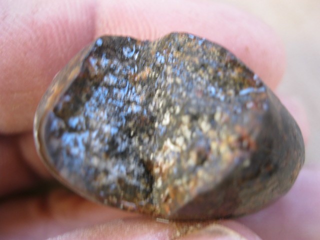 post-9949-0-74419000-1308740139_thumb.jp