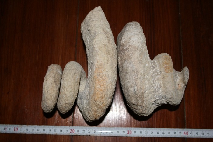 post-815-1185896839_thumb.jpg