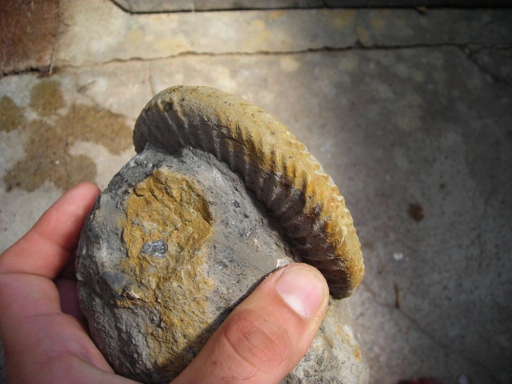 post-1763-1215728796_thumb.jpg