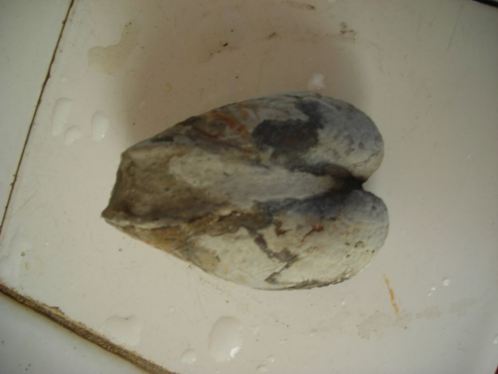 post-1763-1215728887_thumb.jpg