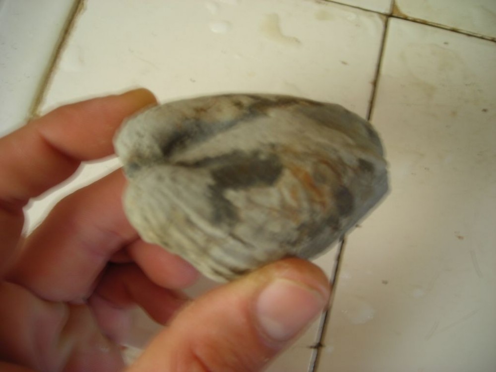 post-1763-1215728896_thumb.jpg