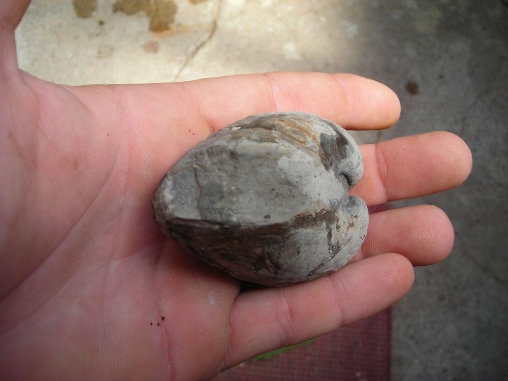 post-1763-1215728910_thumb.jpg