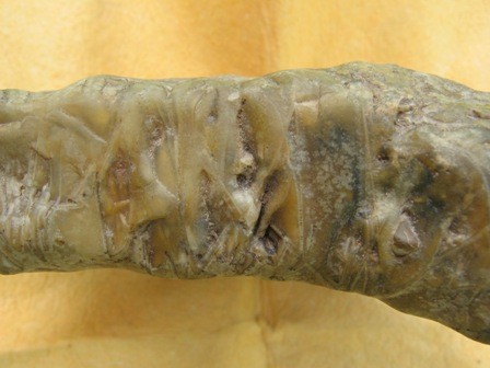 post-6332-1248085128_thumb.jpg
