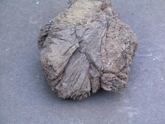 post-2130-1186207631_thumb.jpg