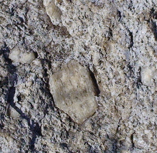 post-2171-1186243604_thumb.jpg