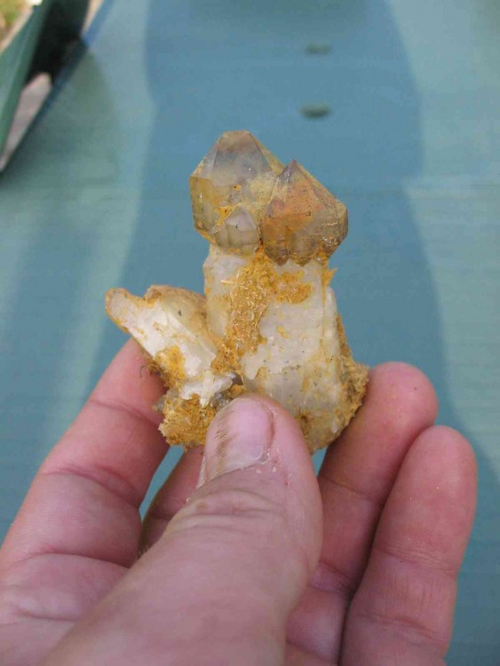 post-2317-1187769566_thumb.jpg
