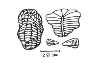post-692-1187286760_thumb.jpg