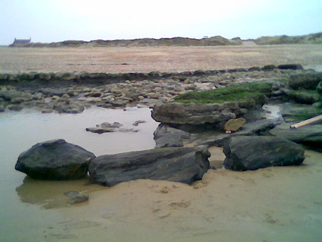 Photo003.jpg